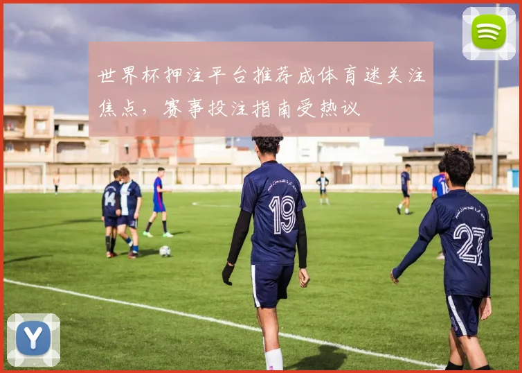 世界杯押注平台推荐成体育迷关注焦点,赛事投注指南受热议