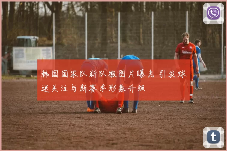韩国国家队新队徽图片曝光 引发球迷关注与新赛季形象升级