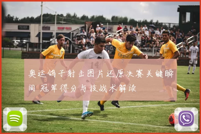 奥运鸽子射击图片还原决赛关键瞬间 冠军得分与技战术解读