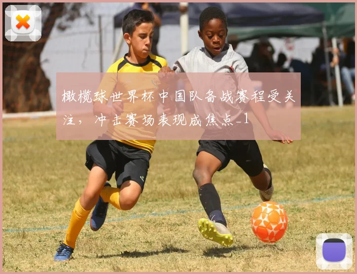 橄榄球世界杯中国队备战赛程受关注，冲击赛场表现成焦点_1