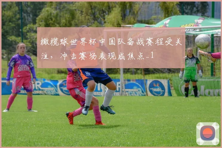 橄榄球世界杯中国队备战赛程受关注,冲击赛场表现成焦点_1